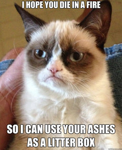 Grumpy Cat