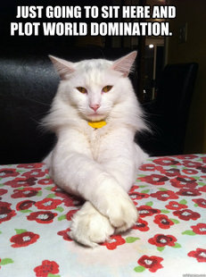 Evil Cat