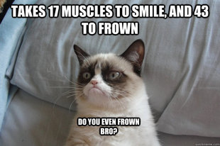 GrumpyCatOL