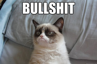 GrumpyCatOL