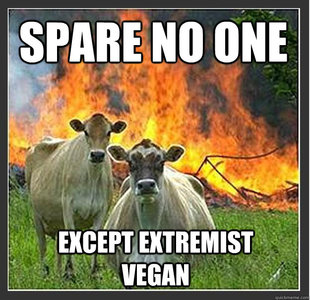 Evil cows