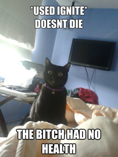 overly attached cat