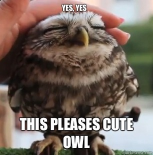 cute owl