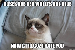 GrumpyCatOL