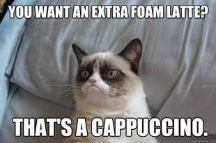 GrumpyCatOL