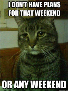 Depressed cat