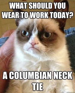 Grumpy cat