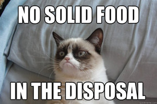 GrumpyCatOL