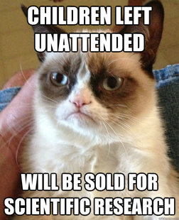 Grumpy cat