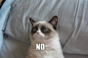 GrumpyCatOL