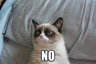 GrumpyCatOL