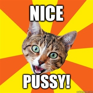 Bad Advice Cat