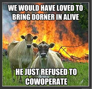 Evil cows