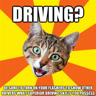 Bad Advice Cat