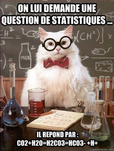 Chemistry Cat