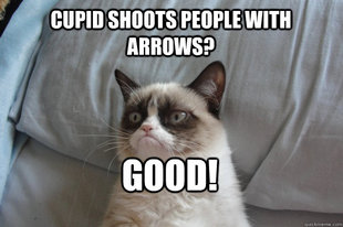 GrumpyCatOL