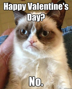 Grumpy cat