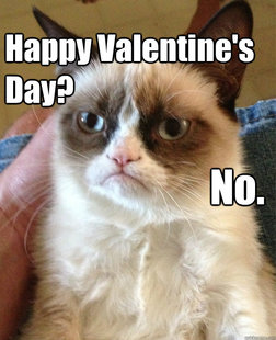 Grumpy cat