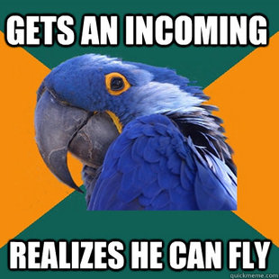 Paranoid Parrot