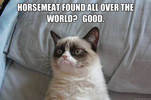 GrumpyCatOL