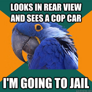Paranoid Parrot