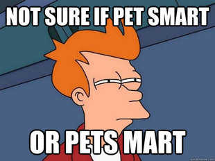 Futurama Fry