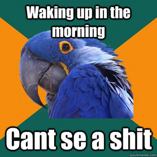 Paranoid Parrot