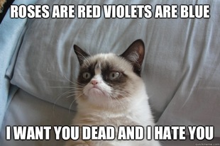 GrumpyCatOL