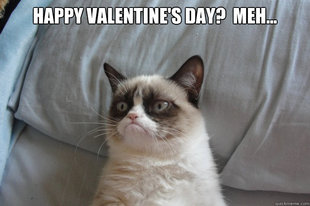 GrumpyCatOL