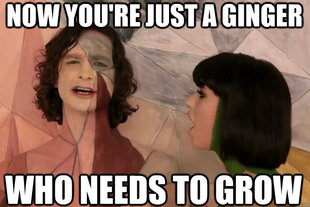 Gotye