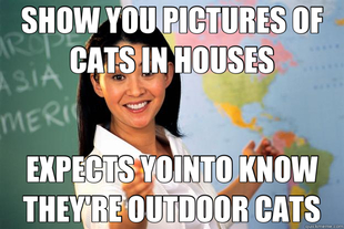 Unhelpful High School Teacher