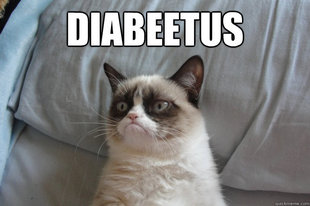 GrumpyCatOL