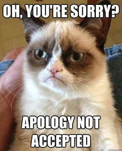 Grumpy cat