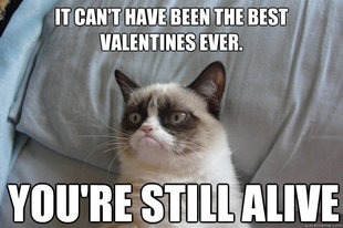 GrumpyCatOL
