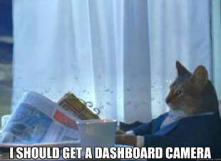 I should buy a boat cat