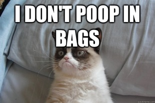GrumpyCatOL