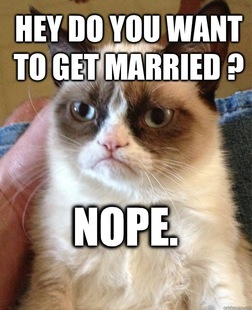 Grumpy cat