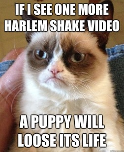 Grumpy cat