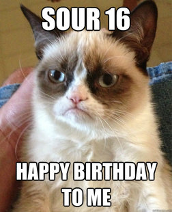 Grumpy cat