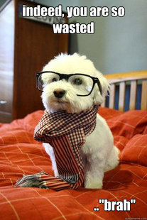 Hipster Dog