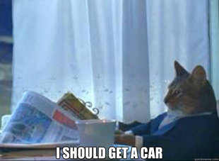 I should buy a boat cat