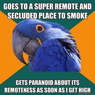 Paranoid Parrot