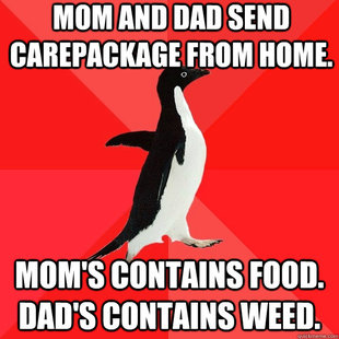 Socially Awesome Penguin
