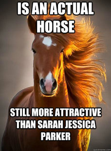 Ridiculously Photogenic Horse