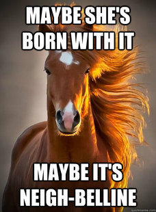 Ridiculously Photogenic Horse