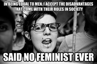 Hypocrite Feminist