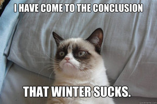 GrumpyCatOL