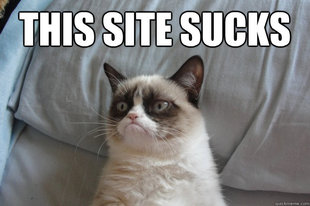 GrumpyCatOL