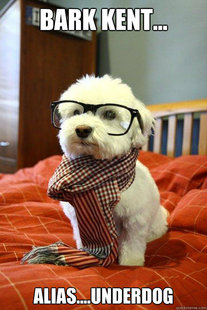 Hipster Dog