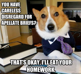 Lawyer Dog